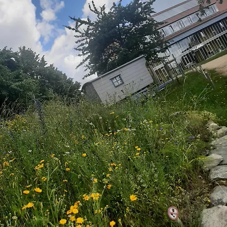 Sächsische Bildungs- Und Begegnungsstätte Windmühle